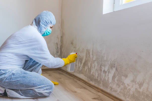 Hvac And Air Duct Mold Remediation inspection of HVAC system in Aurora